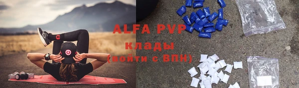 сатива Новосибирск