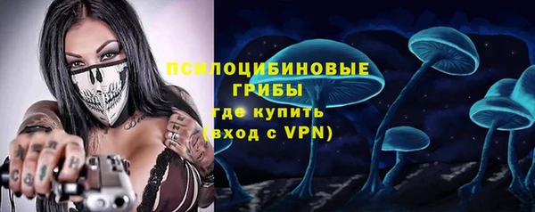 PSILOCYBIN Нефтекумск