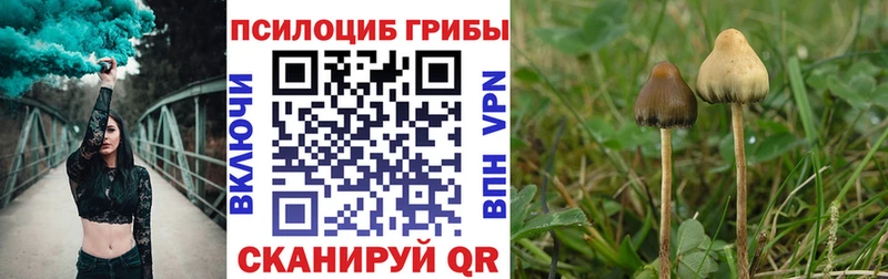 Галлюциногенные грибы прущие грибы  мега как войти  Североморск  даркнет сайт 